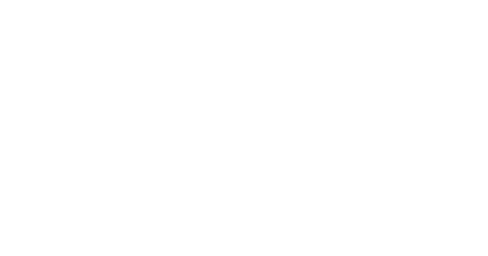 Lazoo Experience